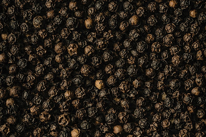The Pepper Farmers of Goalpara: Cultivating Spice and Sustaining Lives